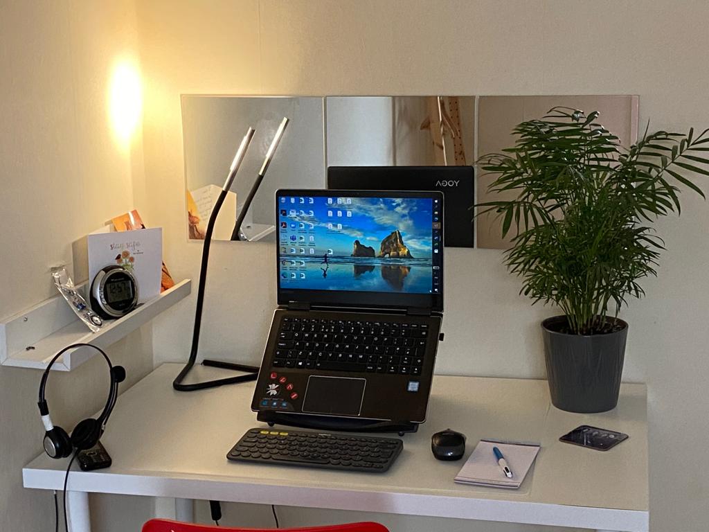 Desk with laptop, lamp and plant.
